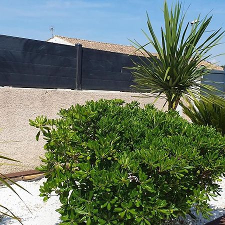 La Villa De L'Olivier Piscine Privee Et Parking Καρκασόν Εξωτερικό φωτογραφία