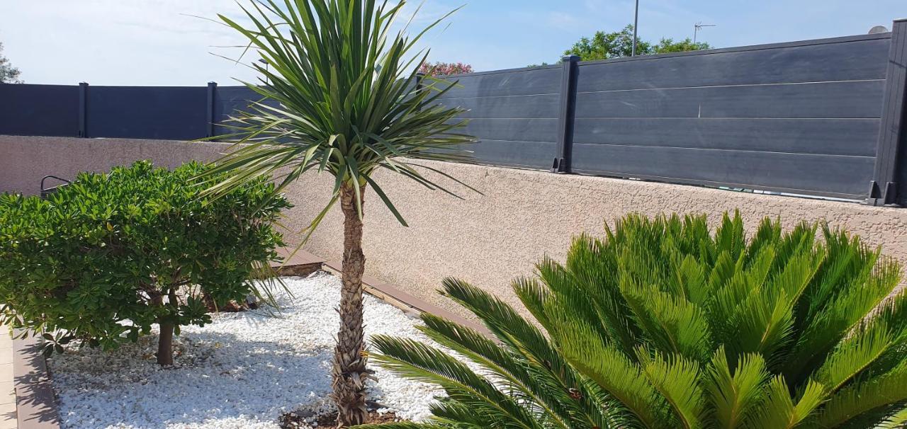 La Villa De L'Olivier Piscine Privee Et Parking Καρκασόν Εξωτερικό φωτογραφία