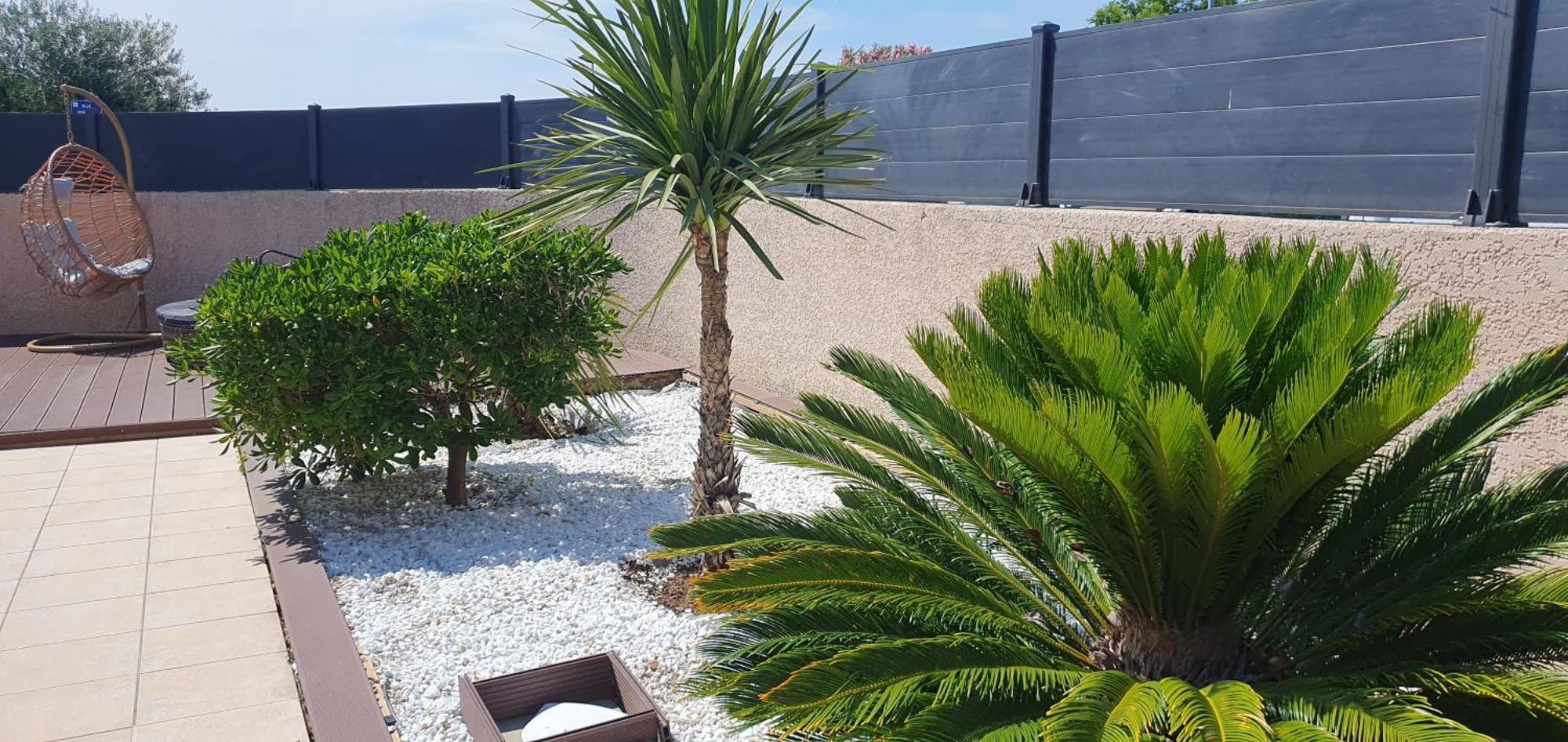 La Villa De L'Olivier Piscine Privee Et Parking Καρκασόν Εξωτερικό φωτογραφία